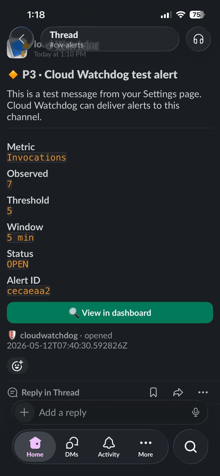 Example Slack notification from Cloud Watchdog